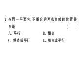 7.2.1 平行線的概念（習(xí)題課件）2024-2025學(xué)年人教版七年級(jí)數(shù)學(xué)下冊(cè)