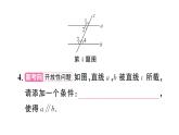 7.2.2第2課時(shí) 平行線的判定的綜合運(yùn)用（習(xí)題課件）2024-2025學(xué)年人教版七年級(jí)數(shù)學(xué)下冊(cè)