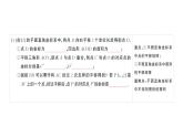 初中數(shù)學新人教版七年級下冊第九章 平面直角坐標系復習作業(yè)課件2025春
