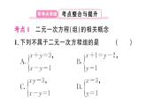 初中數(shù)學(xué)新人教版七年級下冊第十章 二元一次方程組復(fù)習作業(yè)課件2025春