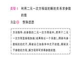 初中数学新人教版七年级下册第十章专题一8 含参数的二元一次方程组作业课件2025春