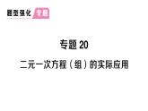 初中数学新人教版七年级下册第十章专题二0 二元一次方程（组）的实际应用作业课件2025春