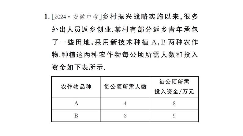 初中数学新人教版七年级下册第十章专题二0 二元一次方程（组）的实际应用作业课件2025春第2页