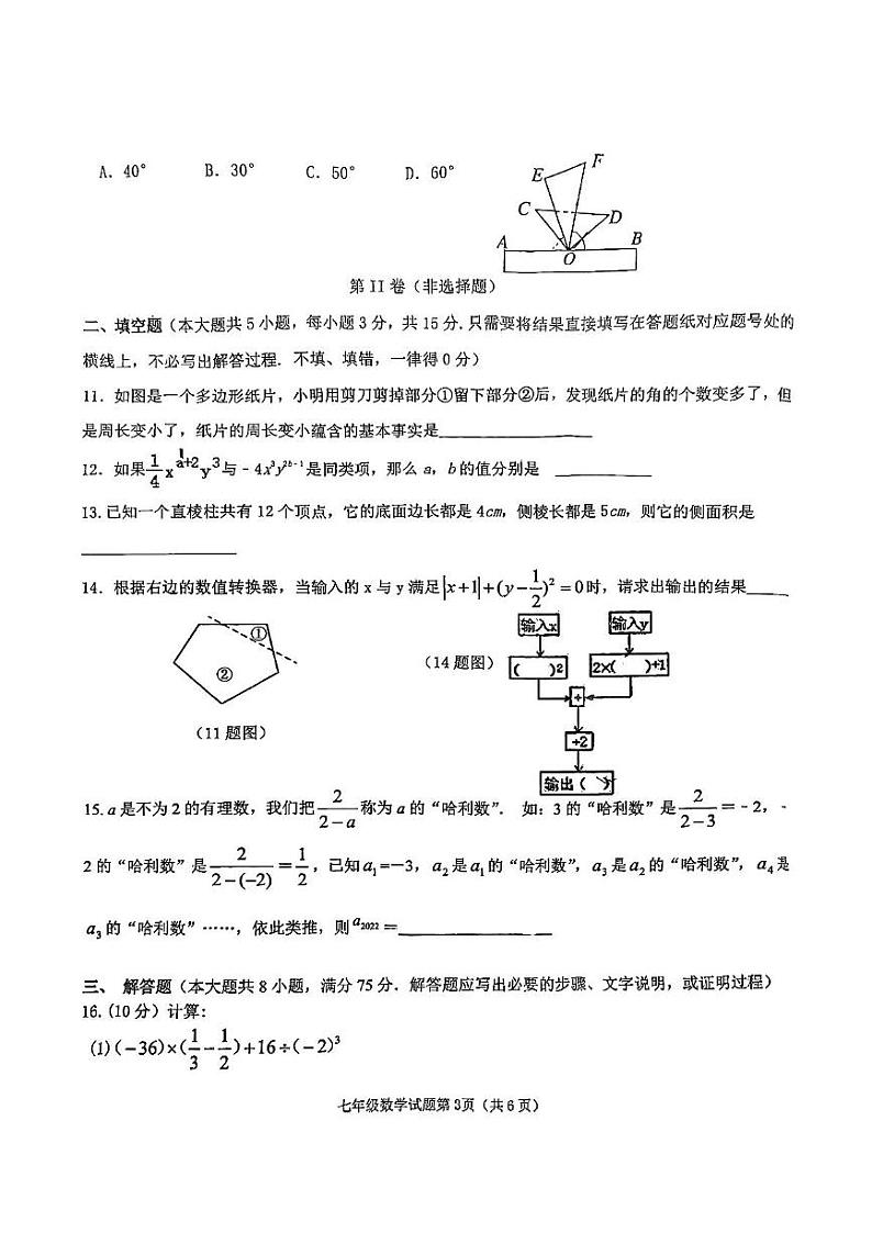 辽宁省朝阳市建平县2024-2025学年七年级上学期1月期末数学试题第3页