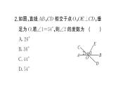 初中數(shù)學(xué)新人教版七年級下冊7.1.2 兩條直線垂直作業(yè)課件（2025春）