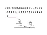 初中数学新人教版七年级下册11.1.1 不等式及其解集作业课件2025春