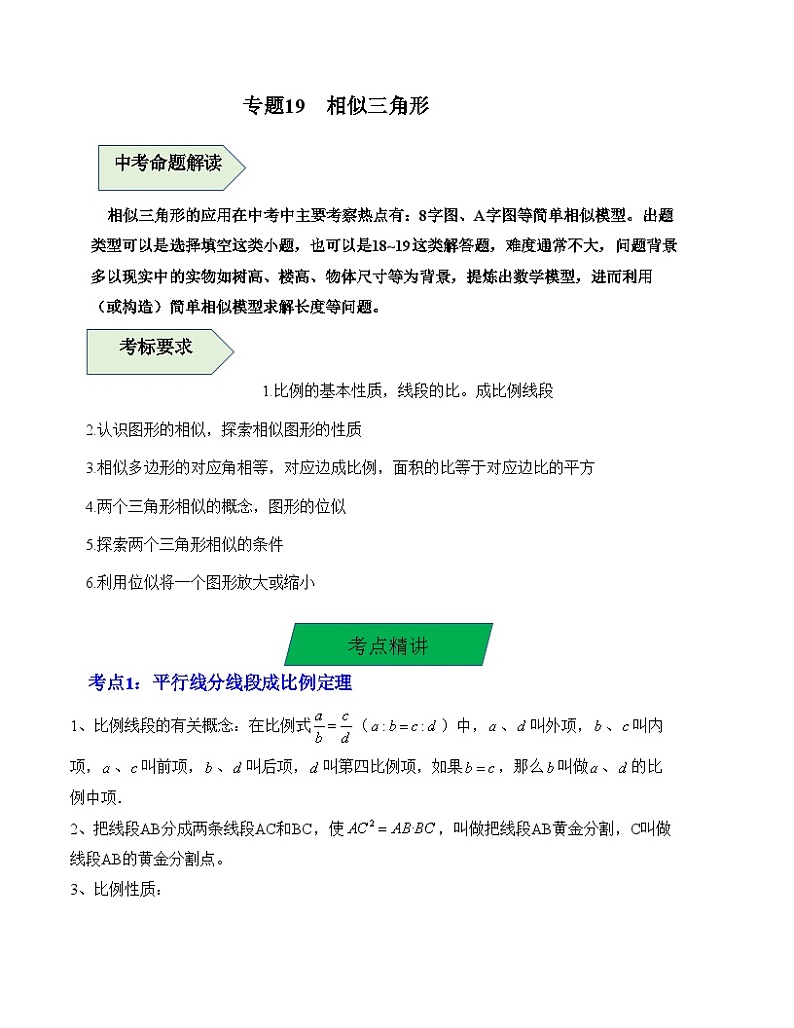 中考数学一轮复习知识梳理+考点精讲专题19 相似三角形（解析版）第1页