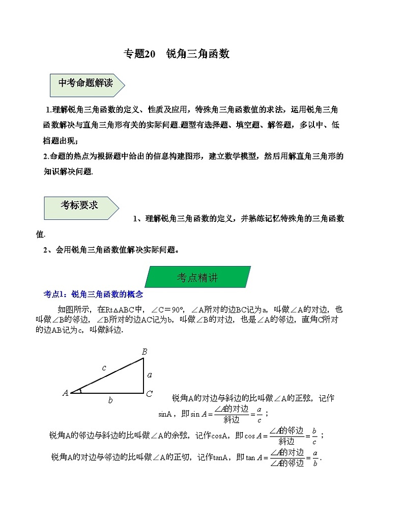 中考数学一轮复习知识梳理+考点精讲专题20 锐角三角函数（解析版）第1页