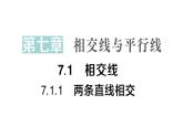初中數(shù)學(xué)新人教版七年級下冊7.1.1 兩條直線相交作業(yè)課件2025春