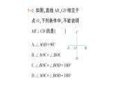 初中數(shù)學(xué)新人教版七年級下冊7.1.2 兩條直線垂直作業(yè)課件2025春