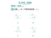 初中数学新人教版七年级下册7.1.3 两条直线被第三条直线所截作业课件2025春