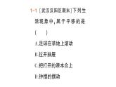 初中数学新人教版七年级下册7.4 平移作业课件2025春