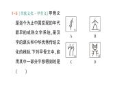 初中数学新人教版七年级下册7.4 平移作业课件2025春