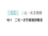 初中數(shù)學新人教版七年級下冊10.1 二元一次方程組的概念作業(yè)課件2025春
