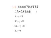 初中數(shù)學新人教版七年級下冊10.1 二元一次方程組的概念作業(yè)課件2025春