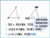 北师大版（2024）数学七年级下册--4.2 全等三角形（课件）