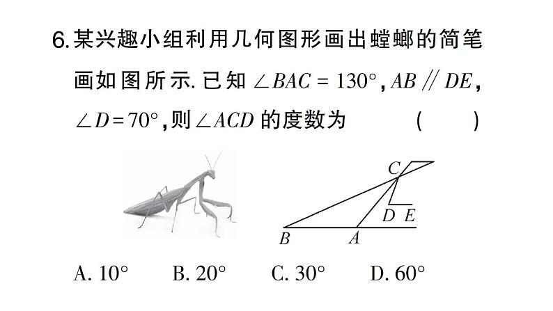 初中数学新人教版七年级下册第七章 相交线与平行线（二）作业课件2025春第7页