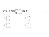 初中數(shù)學(xué)新人教版七年級下冊第十章 二元一次方程組綜合訓(xùn)練作業(yè)課件2025春