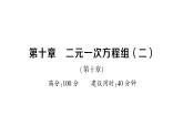 初中數(shù)學(xué)新人教版七年級下冊第十章 二元一次方程組（二）作業(yè)課件2025春