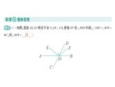 初中数学新人教版七年级下册第七章专题三 相交线与平行线中的数学思想作业课件2025春