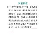 初中数学新人教版七年级下册第七章专题四 相交线与平行线中的新定义问题作业课件2025春
