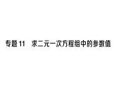 初中數(shù)學(xué)新人教版七年級下冊第十章專題一1 求二元一次方程組中的參數(shù)值作業(yè)課件2025春
