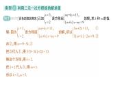 初中數(shù)學(xué)新人教版七年級下冊第十章專題一1 求二元一次方程組中的參數(shù)值作業(yè)課件2025春