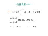 初中數(shù)學(xué)新人教版七年級下冊第十章專題一1 求二元一次方程組中的參數(shù)值作業(yè)課件2025春