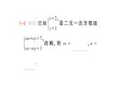 初中數(shù)學(xué)新人教版七年級下冊第十章專題一1 求二元一次方程組中的參數(shù)值作業(yè)課件2025春