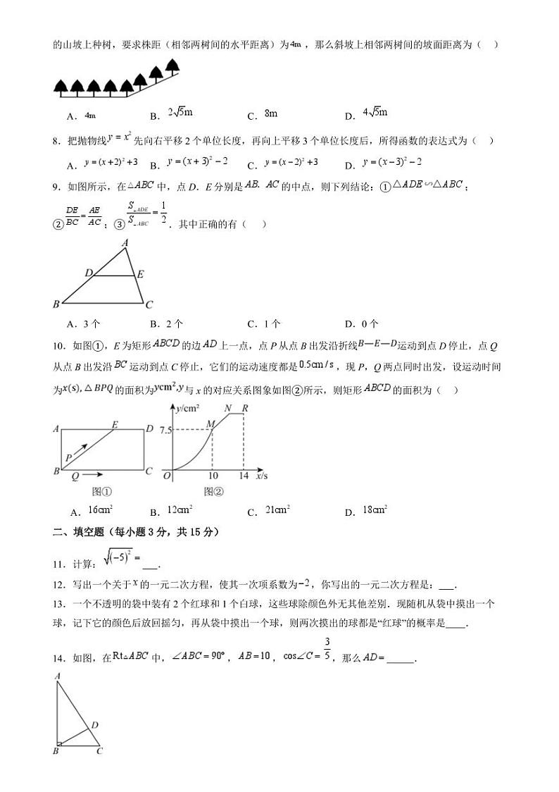 河南南阳名校联考2024年九年级上学期12月期末数学试题（含答案）第2页