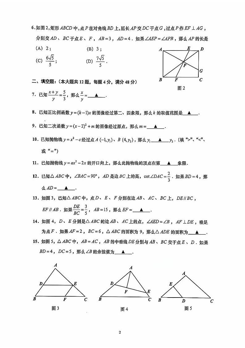 2025上海市普陀区初三一模数学试卷和参考答案第3页