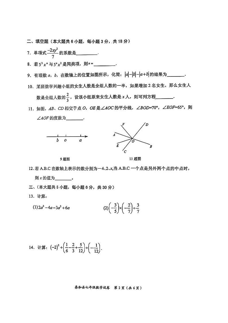 江西省吉安市泰和县2024-2025学年上学期期末质量监测七年级数学试卷第2页