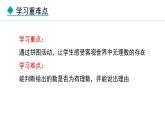北师大版八年级数学上册2.1认识无理数第1课时课件