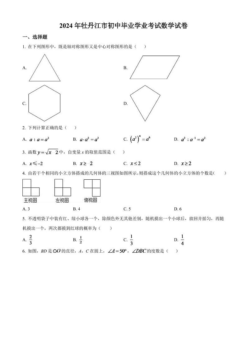 2024年黑龙江省牡丹江市中考数学模拟试卷（原卷版）第1页