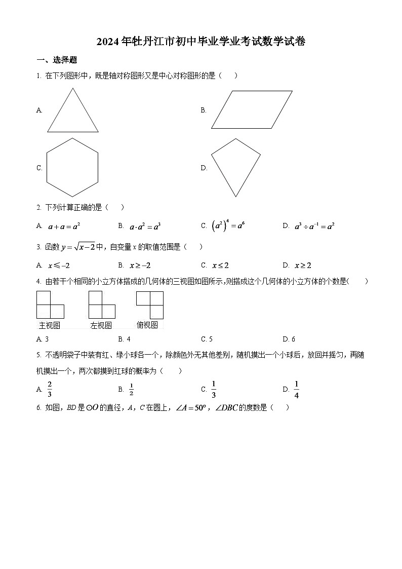 2024年黑龙江省牡丹江市中考数学模拟试卷（原卷版）第1页