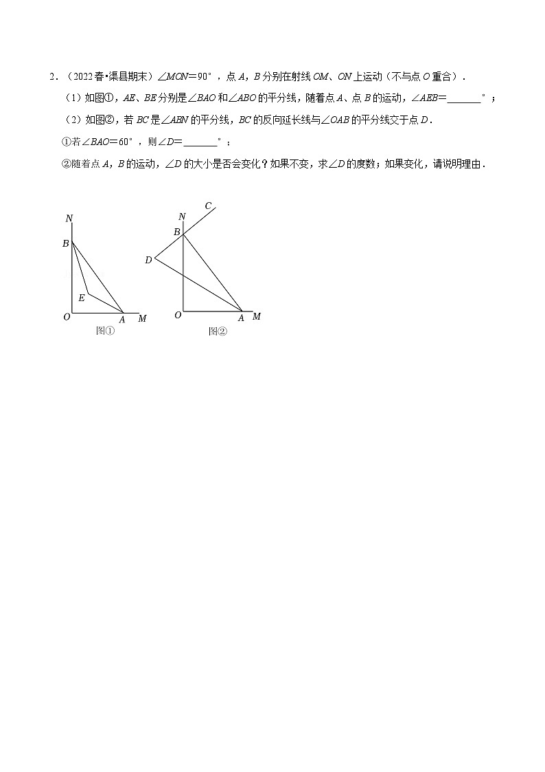 专题7.9 角度计算的综合大题专项训练（30道）-最新苏教版七年级下册数学精讲精练（学生版）第2页