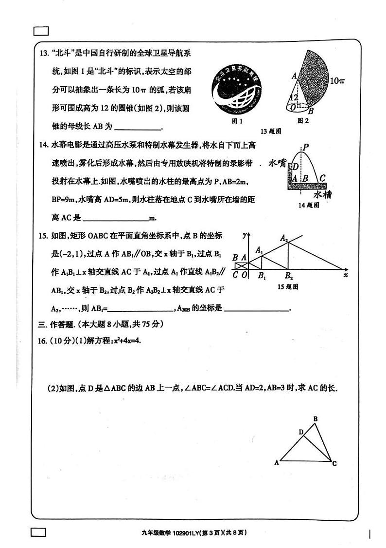 河南省周口市鹿邑县2024-2025学年九年级上学期1月期末数学试题第3页