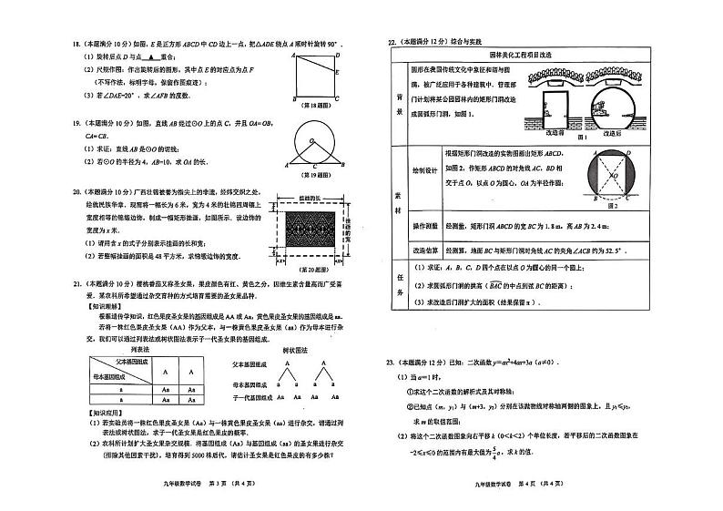 广西壮族自治区南宁市2024-2025学年九年级上学期1月期末考试数学试题第2页
