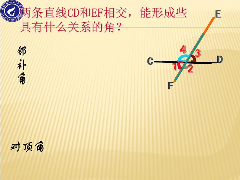 初中数学华东师大版七年级上册4章1.3相交线中的角+课件第2页