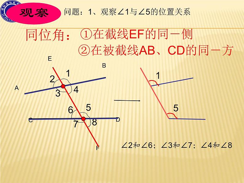 初中数学华东师大版七年级上册4章1.3相交线中的角+课件第4页