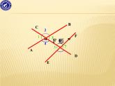 初中数学华东师大版七年级上册4章1.3相交线中的角+课件