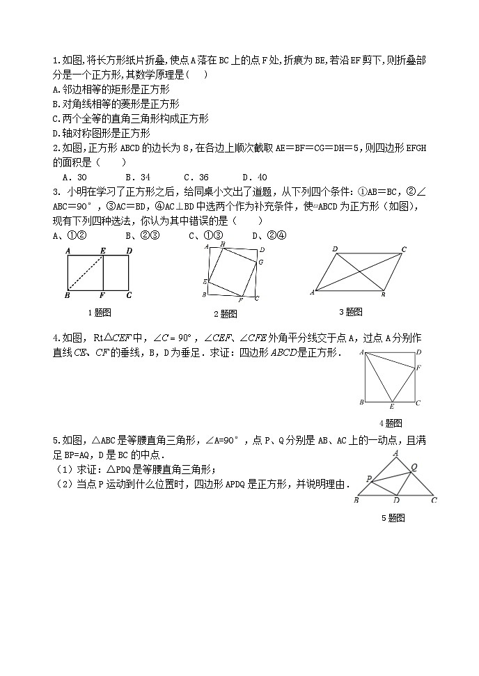泰山区泰山实验中学2024-2025年八年级第二学期6.3正方形的性质与判定(2)学案和答案第2页