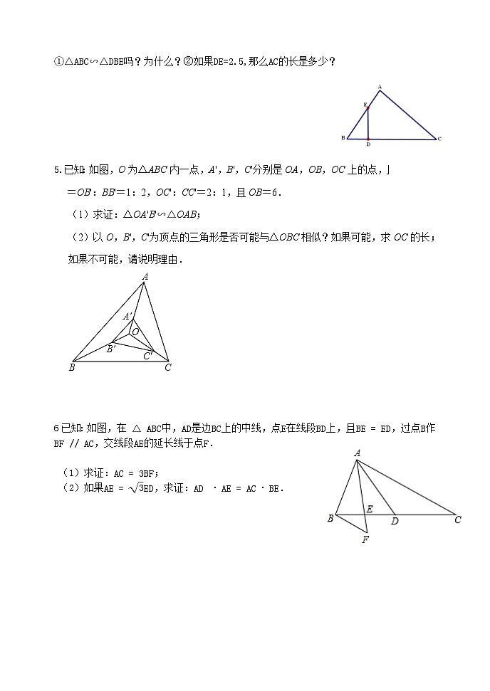 泰山区泰山实验中学2024-2025年八年级第二学期9.4探索三角形相似的条件（3）学案和答案第2页