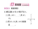 初中数学新北师大版七年级下册第二章1 两条直线的位置关系第二课时 垂直作业课件2025春