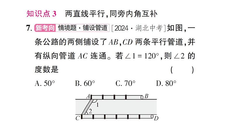 初中数学新北师大版七年级下册第二章3 平行线的性质第一课时 平行线的性质作业课件2025春第8页