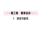 初中數(shù)學新北師大版七年級下冊第三章1 感受可能性作業(yè)課件2025春