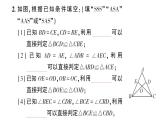 初中數(shù)學新北師大版七年級下冊第四章3 第四課時 全等三角形性質與判定的綜合作業(yè)課件2025春