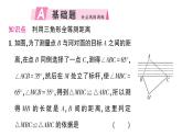 初中数学新北师大版七年级下册第四章4 利用三角形全等测距离作业课件2025春