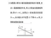 初中数学新北师大版七年级下册第四章4 利用三角形全等测距离作业课件2025春