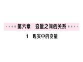初中數(shù)學(xué)新北師大版七年級(jí)下冊(cè)第六章1 現(xiàn)實(shí)中的變量作業(yè)課件2025春
